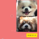 23 May (3) (명리단길 쭈꾸미, 간장게찜 간단레시피, 가락시장 웅이네, 박서방네 순댓국집, 봉은사 삼재...