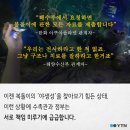 이상한나라의수족관