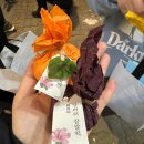 2024.11月 일상 : 놀러가기 딱 좋은 날씨네요