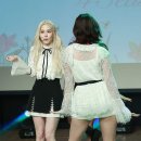 쉘위댄스 이미지