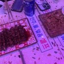 혜정축산 이미지