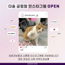 다솜동물메디컬센터 금정점 이미지