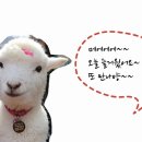 순수목장 이미지