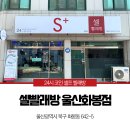 셀빨래방울산화봉점 이미지