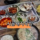 대구 서구 비산동 국밥맛집 추천ㅣ시골돼지국밥 내돈내산 후기