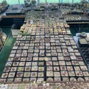 큰빛농장 이미지