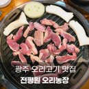 광주 오리고기 맛집 전평원 오리농장 오리한마리, 보리밥 후기