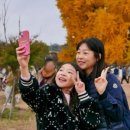 섬강한우촌 이미지