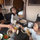 새연리조트 가평설악점 | 가평 글램핑 : 아이들이랑 가기 좋은 "새연 카라반 글램핑 설악2호점" 후기(아기냥이들, 꼬꼬댁하우스)