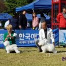 레이지포 이미지