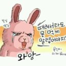 쇼콜라윰