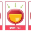 서초봄산부인과의원 이미지