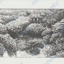 담양오방길5코스(누정길) 이미지