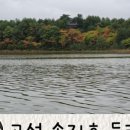 송지호해변(여) 네이버블로그