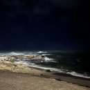 바다랑파도랑 이미지