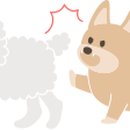 위풍댕댕 이미지