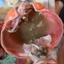 주문진세꼬시회 | 주문진 어민 수산시장 홍게 복어회 포장 후기