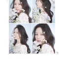 Flower Garden | 내돈내산 산호맨숀 4번 Flower Garden 촬영 후기