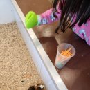 새말안길 이미지