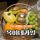 옥이과일