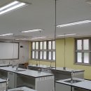 원광초등학교 Daum카페
