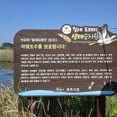엉불턱우도전망대