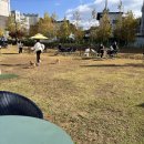 내유길 | 🐾 [애견동반 브런치카페 후기] 피터펫츠 내유점 — 우리 집 강아지 쿠키와 함께한 힐링타임 🐶☕️