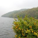 아람공원 이미지