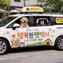 행복펫택시 이미지