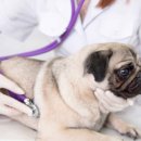 이촌사랑약국 이미지