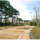 광교마을40단지 이미지