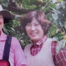 화림농원 - 함양군 우전길 12-1 | 화림농원