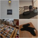 다인가방부자재 | 키티버니포니 합정 플래그십 방문기｜패브릭 천국, 귀여운 소품샵