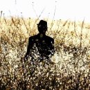 Splendor in the grass(초원의 빛) 이미지