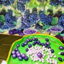 아이보듬어린이집 이미지