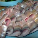 목포밴댕이 이미지