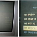 현대전자 네이버블로그