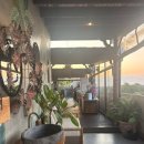 발리 우붓 시내 가성비 숙소, 맥스원 호텔(MaxOne Hotel ubud)