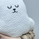 곰세탁 | 여름 바디필로우 고밀도 메모리폼, 쿨쿨곰 한 달 사용 후기 (크기, 소재, 세탁방법)