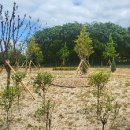 명품축산 이미지