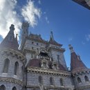 컴퓨터&인터넷 완전정복하기 | 도쿄여행 #2 디즈니랜드 정복하기 🍯🍎🎉🎄⛄️❄️🎅🏻