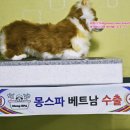 (주)몽스파 이미지