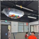 태비 태권도 이미지