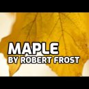 5. Maple / New Hampshire(1923) - Robert Frost 이미지