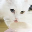 주식회사 건강한친구 이미지