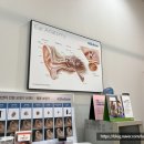 위즈덤보청기 청각센터 수원본점 이미지