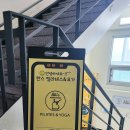 마장역(5) | 마장동필라테스 받고 다녀온 후기 (마장역필라테스 수업 정리)