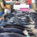 엔에이핏 이미지