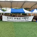 용인대 푸르미르 태권도 이미지