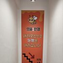 으뜸원 안경 이미지